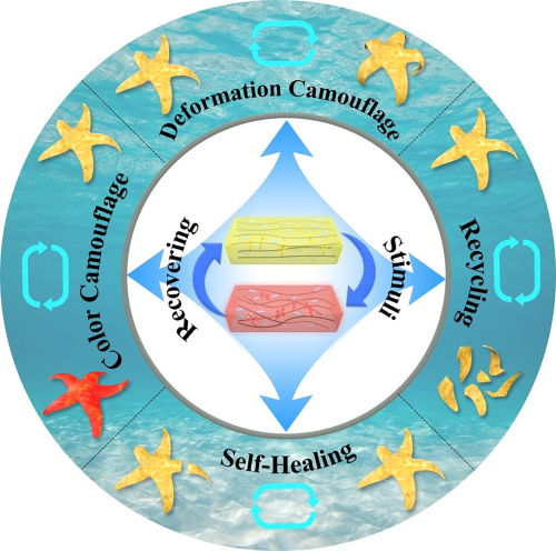 中國科學家研發(fā)出海星仿生軟體機器人 兼具自然偽裝與斷肢重生能力